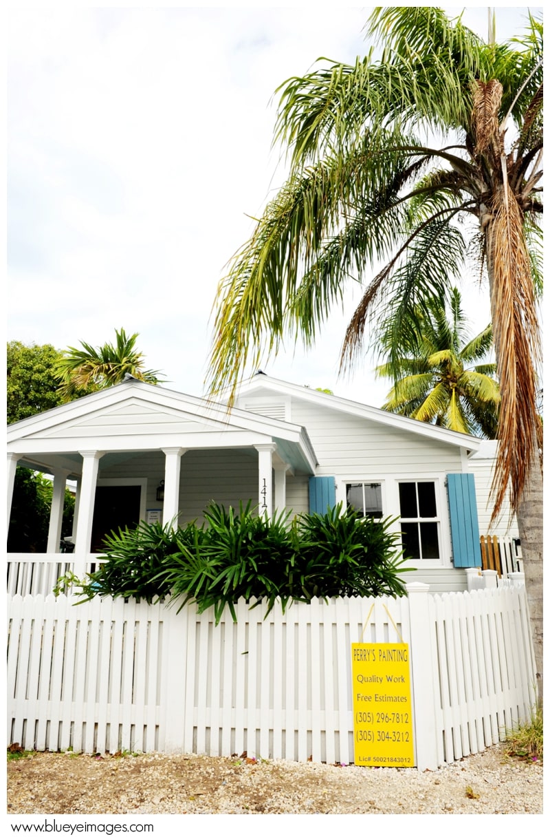 eliza street residence renovation